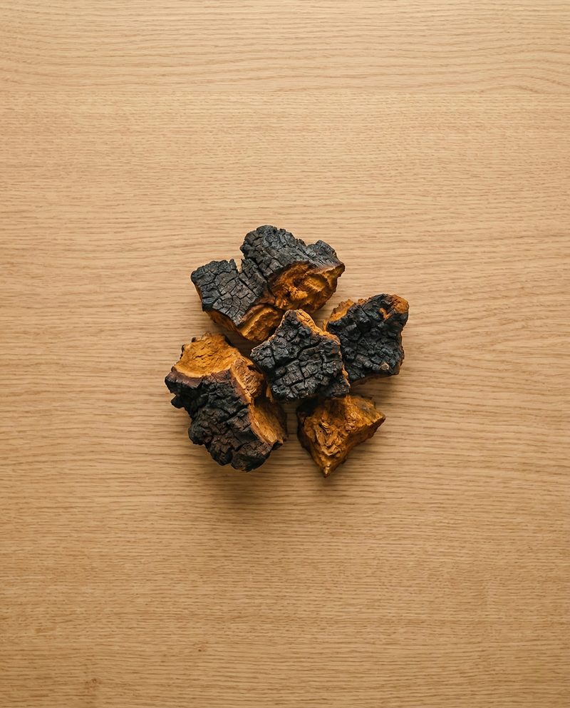 <p>Chaga</p>